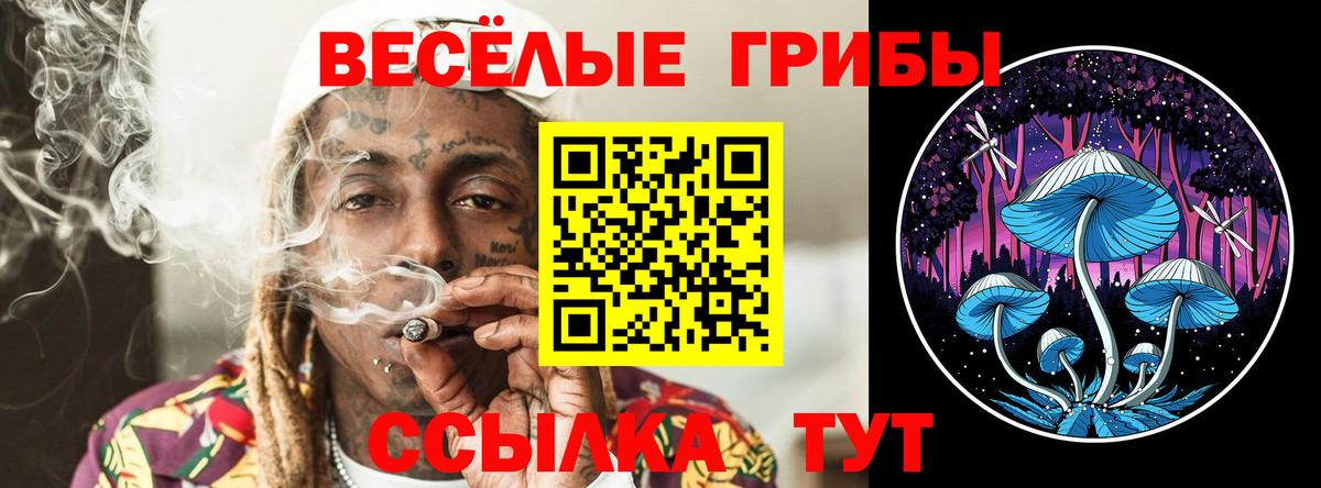 Галлюциногенные грибы мицелий  купить   Псилоцибиновые грибы мицелий  Артёмовский  Вход с VPN 